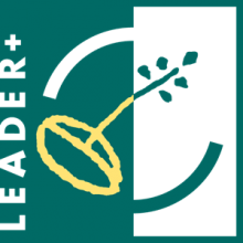 Event LEADER Toilas logo at Navicup.com